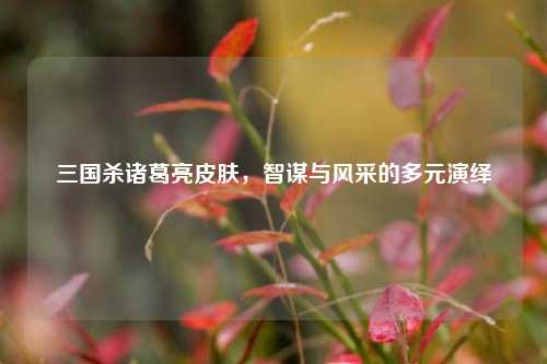 三国杀诸葛亮皮肤，智谋与风采的多元演绎