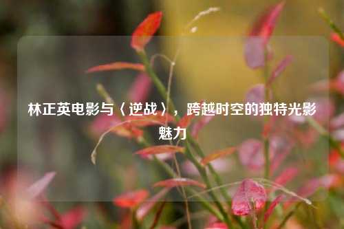 林正英电影与〈逆战〉，跨越时空的独特光影魅力