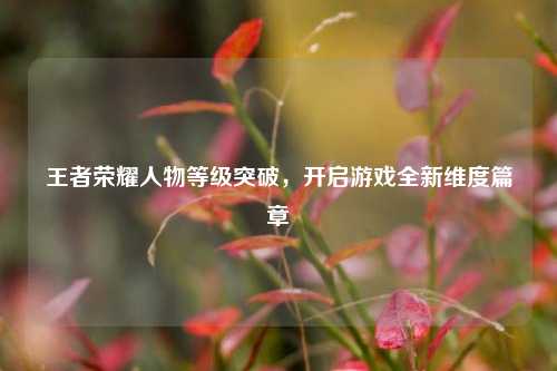王者荣耀人物等级突破，开启游戏全新维度篇章