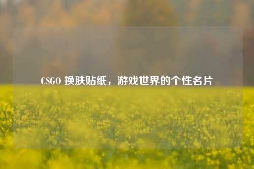 CSGO 换肤贴纸，游戏世界的个性名片