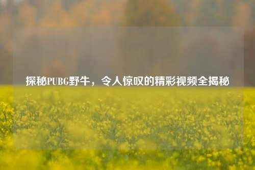 探秘PUBG野牛，令人惊叹的精彩视频全揭秘