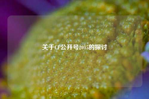 关于CF公开号2015的探讨