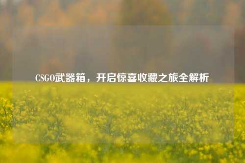 CSGO武器箱，开启惊喜收藏之旅全解析
