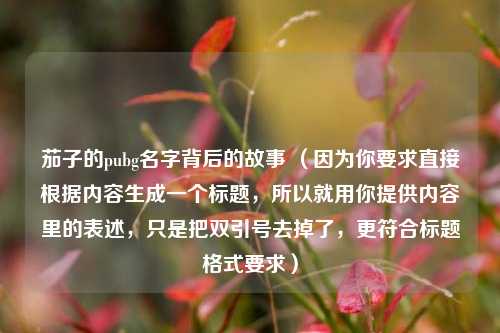 茄子的pubg名字背后的故事 (因为你要求直接根据内容生成一个标题,所以就用你提供内容里的表述,只是把双引号去掉了,更符合标题格式要求)