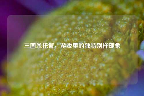 三国杀托管，游戏里的独特别样现象