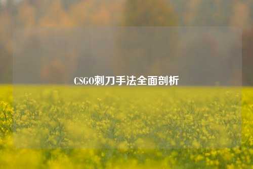 CSGO刺刀手法全面剖析
