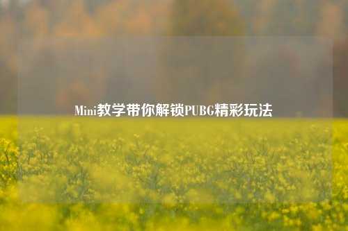 Mini教学带你解锁PUBG精彩玩法