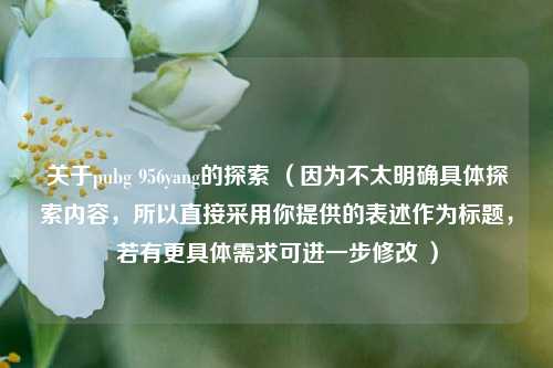 关于pubg 956yang的探索 （因为不太明确具体探索内容，所以直接采用你提供的表述作为标题，若有更具体需求可进一步修改 ）