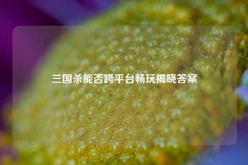 三国杀能否跨平台畅玩揭晓答案