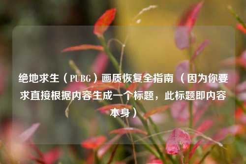 绝地求生（PUBG）画质恢复全指南 （因为你要求直接根据内容生成一个标题，此标题即内容本身）