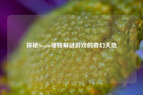 探秘Steam硬核解谜游戏的奇幻天地