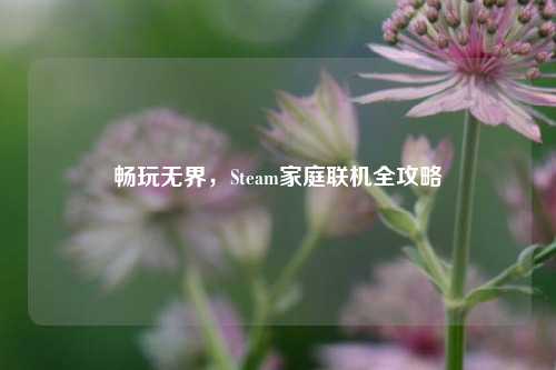 畅玩无界，Steam家庭联机全攻略
