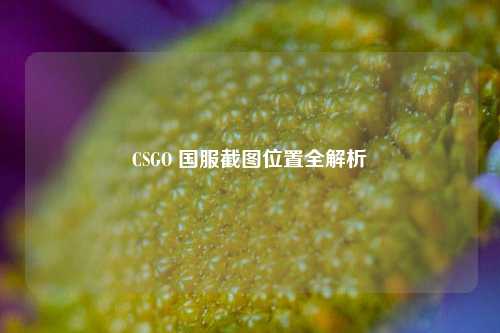 CSGO 国服截图位置全解析