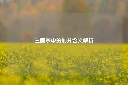 三国杀中的加分含义解析