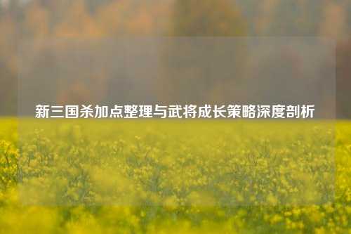 新三国杀加点整理与武将成长策略深度剖析