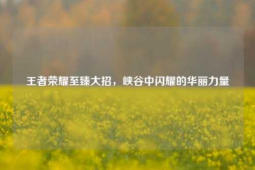 王者荣耀至臻大招，峡谷中闪耀的华丽力量