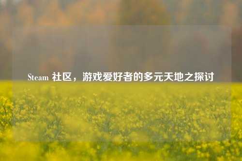 Steam 社区，游戏爱好者的多元天地之探讨