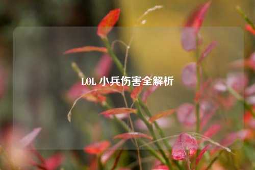 LOL 小兵伤害全解析