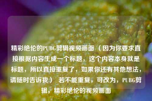 精彩绝伦的PUBG剪辑视频画面 （因为你要求直接根据内容生成一个标题，这个内容本身就是标题，所以直接重复了，如果你还有其他想法，请随时告诉我）  若不能重复，可改为，PUBG剪辑，精彩绝伦的视频画面