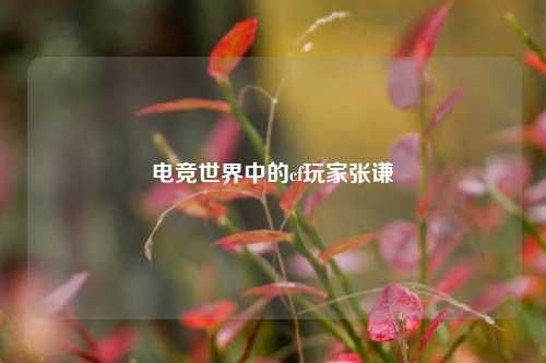 电竞世界中的cf玩家张谦