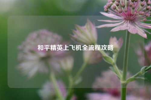 和平精英上飞机全流程攻略