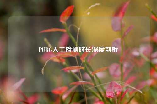 PUBG人工检测时长深度剖析