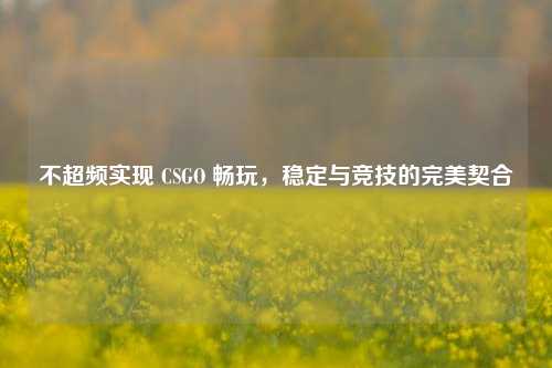 不超频实现 CSGO 畅玩，稳定与竞技的完美契合
