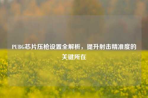 PUBG芯片压枪设置全解析，提升射击精准度的关键所在