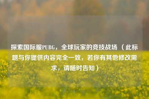 探索国际服PUBG，全球玩家的竞技战场 （此标题与你提供内容完全一致，若你有其他修改需求，请随时告知）