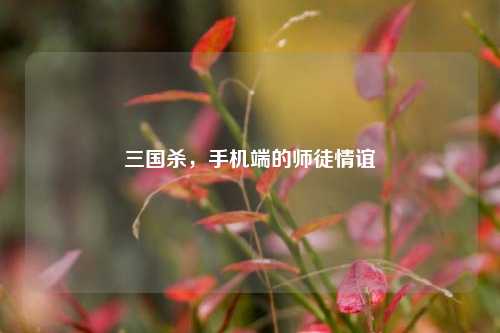三国杀,手机端的师徒情谊