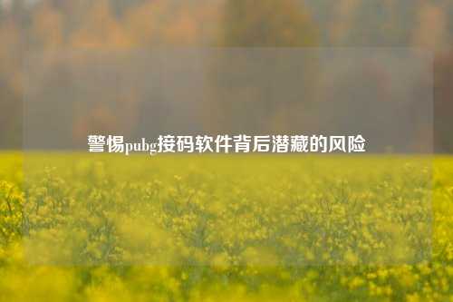 警惕pubg接码软件背后潜藏的风险