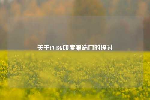 关于PUBG印度服端口的探讨