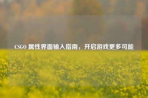 CSGO 属性界面输入指南,开启游戏更多可能