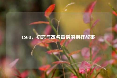 CSGO，初恋与改名背后的别样故事