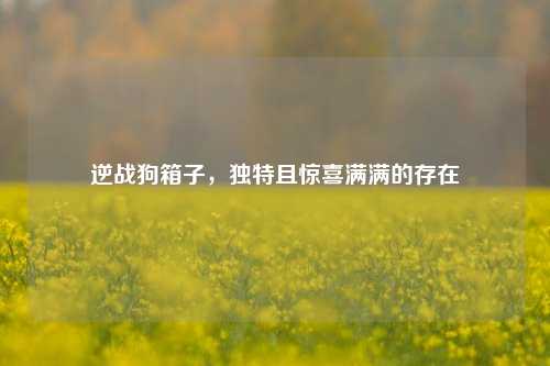 逆战狗箱子，独特且惊喜满满的存在