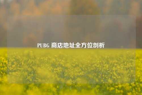 PUBG 商店地址全方位剖析
