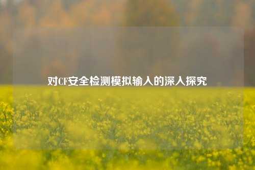 对CF安全检测模拟输入的深入探究