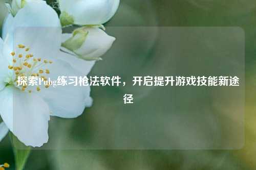 探索Pubg练习枪法软件，开启提升游戏技能新途径