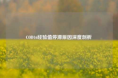 COD16经验值停滞原因深度剖析