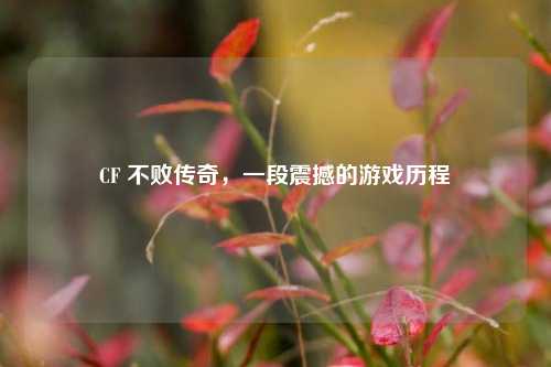 CF 不败传奇,一段震撼的游戏历程
