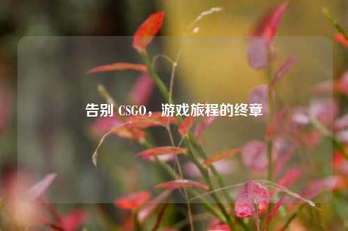 告别 CSGO，游戏旅程的终章