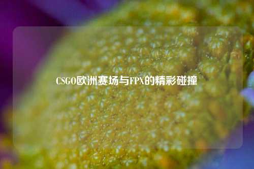 CSGO欧洲赛场与FPX的精彩碰撞