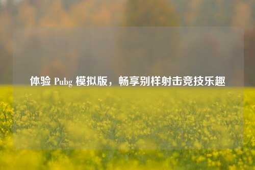 体验 Pubg 模拟版，畅享别样射击竞技乐趣