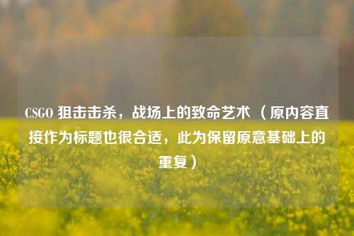 CSGO 狙击击杀,战场上的致命艺术 (原内容直接作为标题也很合适,此为保留原意基础上的重复)