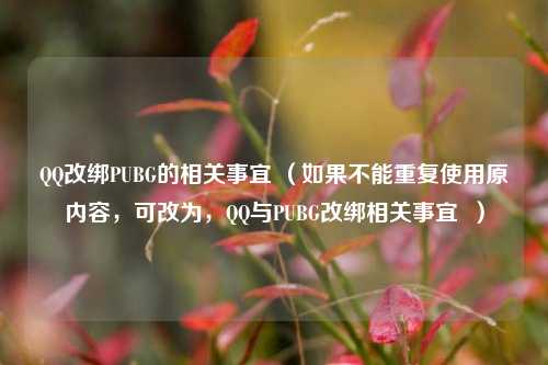 QQ改绑PUBG的相关事宜 (如果不能重复使用原内容,可改为,QQ与PUBG改绑相关事宜 )