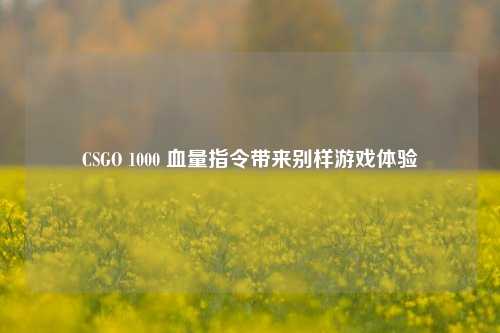 CSGO 1000 血量指令带来别样游戏体验