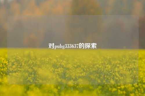 对pubg333637的探索