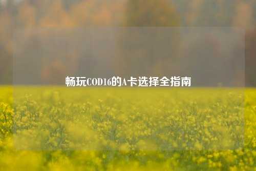 畅玩COD16的A卡选择全指南