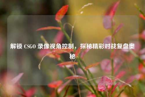 解锁 CSGO 录像视角控制,探秘精彩对战复盘奥秘