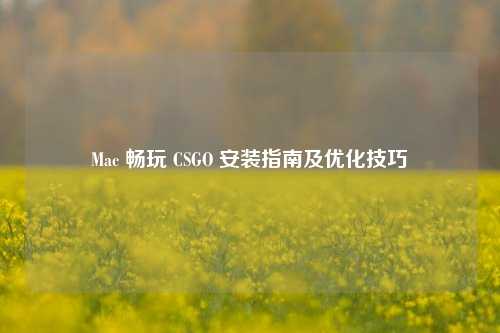 Mac 畅玩 CSGO 安装指南及优化技巧